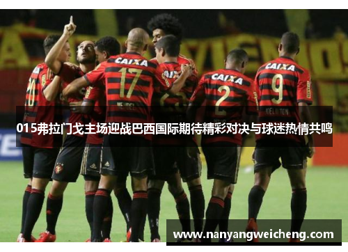 015弗拉门戈主场迎战巴西国际期待精彩对决与球迷热情共鸣
